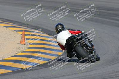 media/Feb-04-2023-SoCal Trackdays (Sat) [[8a776bf2c3]]/Turn 10 Backside (1010am)/